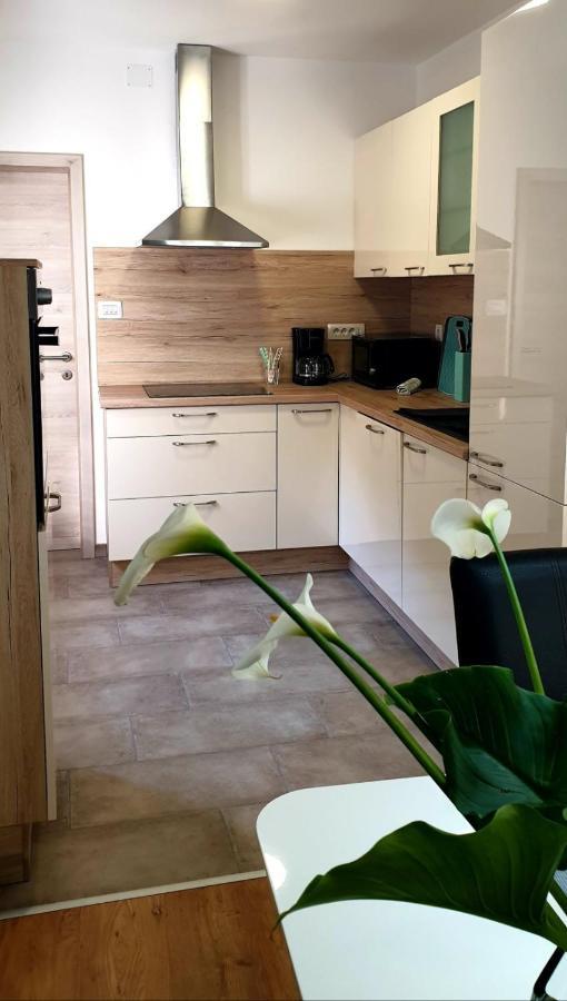 Donji Rukavac Apartman Ela מראה חיצוני תמונה