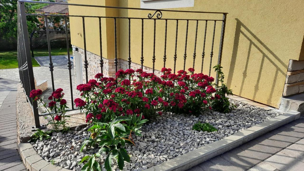 Donji Rukavac Apartman Ela מראה חיצוני תמונה